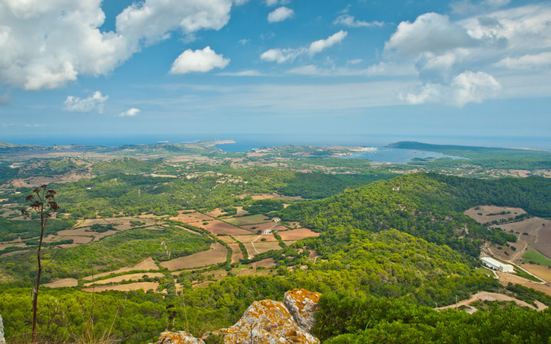 Der Monte Toro