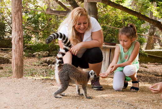Get close to animals in Menorca